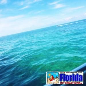 Meet your Posher, Grant